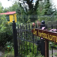 Witaj w Gołubieńskim Ogrodzie Botanicznym! Drewniana tabliczka "Do herbaciarni" zaprasza do ukrytego w zieleni zakątka.