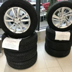 Zimowe koła do Nissana X-Trail i Qashqai. Warto sprawdzić oponeo opinie przed zakupem.