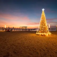 Oświetlona choinka na plaży o zachodzie słońca, z molo i ludźmi w tle.