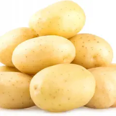 Stos świeżych ziemniaków Colombo, idealnych na frytki lub purée.