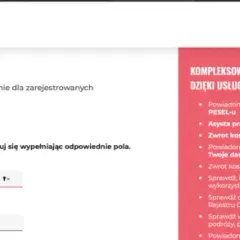 Jak bezpłatnie sprawdzić dane w KRD? Twój poradnik krok po kroku