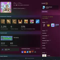Profil gracza Steam z osiągnięciami, ulubioną grą Terraria i odznaką "Shining Diamond". To pokazuje, co to są karty Steam, które można zdobywać i wymieniać.