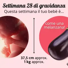 Feto di 28 settimane, grande come una melanzana, lungo circa 37,5 cm e pesante 1 kg.