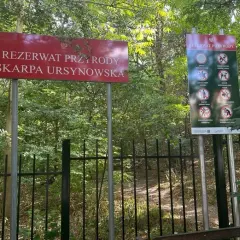 Rezerwat przyrody Skarpa Ursynowska - tajemnice i unikalne ekosystemy
