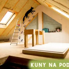 Kuny na poddaszu zostawiają ślady łapek, biegając po izolacji i belkach.