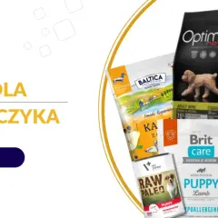 Jaka karma dla szczeniaka maltańczyka zapewni zdrowy rozwój?