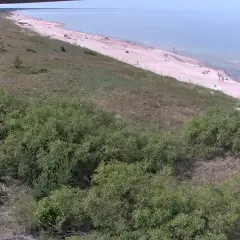 Drewniana kładka prowadzi do plaży nad Bałtykiem, gdzie widać ludzi. W oddali rozciąga się spokojne morze, a krajobraz uzupełniają zielone zarośla.