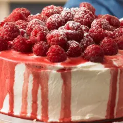 Himbeer Joghurt Torte, üppig belegt mit frischen Himbeeren und Puderzucker, mit roten Himbeersaucen-Tropfen.