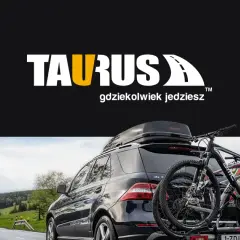 Jak box na dach zwiększa przestrzeń ładunkową i chroni bagaż