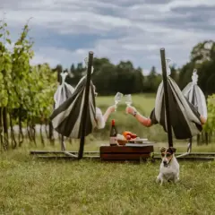 Urocze zwiedzanie winnicy z noclegiem. Para w hamakach wznosi toast, piesek pilnuje pikniku.
