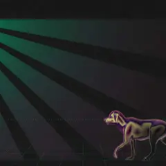 Sensor de alarma para mascotas. Un perro camina en un área de baja sensibilidad, evitando la detección.