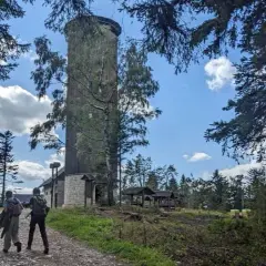 Jak dojść na Borówkową Górę – najłatwiejsze trasy i porady