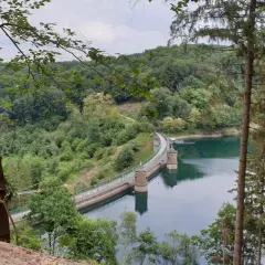 Die Talsperre Solingen, umgeben von üppigem Grün, staut das ruhige Wasser. Zwei Türme ragen aus dem See empor.