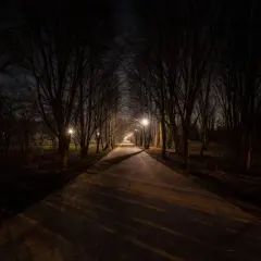 Aleja drzew nocą, oświetlona latarniami. Cienie padają na ścieżkę, tworząc wrażenie kurzej ślepoty.