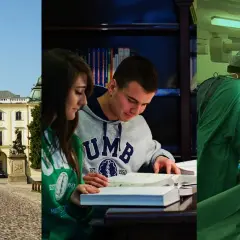 Doktor nauk medycznych po jakich studiach? Kluczowe informacje i wymagania