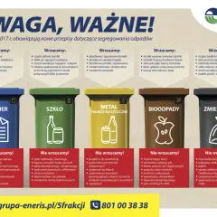 Kości zwierzęce: Do jakiego kosza? Zawsze do zmieszanych!
