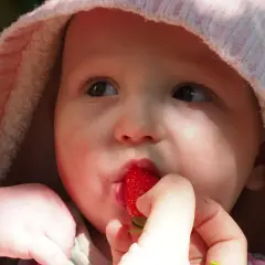 Malutkie rączki podają soczystą truskawkę do buzi niemowlaka. Słodkie pierwsze smaki.