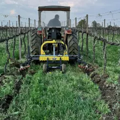 Trattore in vigneto con attrezzo per la lavorazione del terreno, un esempio di moderna resa agricola.