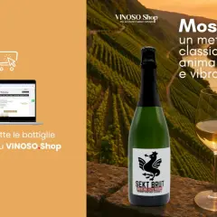 Bottiglia di Sekt Brut Riesling, un esempio di classificazione vini tedeschi, con vigneti della Mosella sullo sfondo.