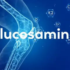 Ilustración de una rodilla con la palabra "glucosamina" y elementos como vitaminas y minerales. Explora los glucosamina beneficios y desventajas.