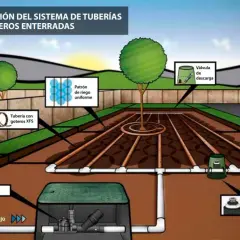 Esquema instalación riego por goteo: evita errores comunes y ahorra agua