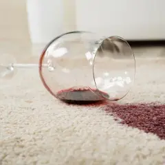Um alte Rotweinflecken entfernen zu können, muss man schnell handeln. Ein umgefallenes Weinglas hinterlässt einen roten Fleck auf dem hellen Teppich.