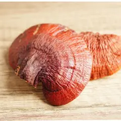 Dwa suszone grzyby reishi na drewnianym tle. Reishi na co? Na zdrowie i odporność!