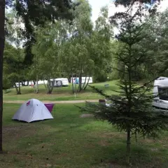 Pola namiotowe Lubuskie: Gdzie nad jezioro? Przewodnik 2024