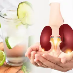 Vaso de agua con limón y rodajas, junto a manos que sostienen riñones. Considera las contraindicaciones del agua con limón.