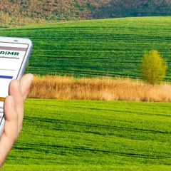 Dłoń trzyma smartfon z aplikacją ARiMR do składania wniosków o płatności bezpośrednie na tle zielonych pól.