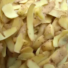 Stos obierków z ziemniaków, które mogą posłużyć jako cenny nawóz dla roślin.