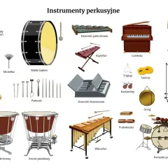 Ilustracja przedstawia różnorodne instrumenty perkusyjne: bębny, ksylofon, dzwonki, fortepian, gong, tam-tam, wibrafon i komplet jazzowy.