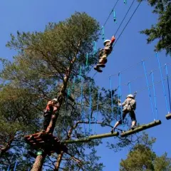 Park linowy Karpacz: Tarzan trasy, ceny i bezpieczeństwo dla rodzin