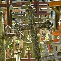 Góra Grabarka, miejsce pielgrzymek, pełne drewnianych krzyży ozdobionych paciorkami i mchem.