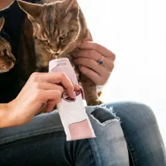 Gato curioso prueba pasta de malta para gatos de un tubo. Otro gato espera pacientemente.
