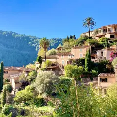 Malerische Steinhäuser schmiegen sich an einen grünen Hang. Palmen und Zypressen wachsen zwischen den Gebäuden. Ein friedlicher Anblick von Mallorca im Dezember.
