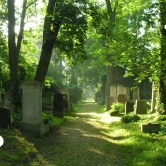 Muzeum Sztuki Cmentarnej Wrocław - Godziny otwarcia i ceny biletów