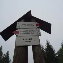 Droga do P. Glinne 809 m. Znaki PTTK wskazują też kierunki na Halę Miziową i Beskid Krzyżowski.