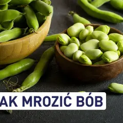 Świeży bób w łuskach i wydłubane ziarna w miseczkach. Dowiedz się, jak mrozić bób, by cieszyć się nim dłużej.