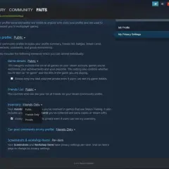 Ustawienia prywatności Steam, aby móc udostępnić swój trade URL na CSGO skins. Zmień widoczność ekwipunku na "Publiczny".