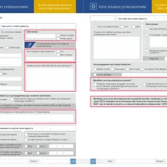 Formulaire administratif pour une demande de place en établissement ou service d'aide par le travail (ESAT), incluant des questions sur la situation professionnelle et le handicap.