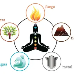 Los 5 elementos de la naturaleza y su significado: fuego, madera, tierra, agua y metal, representados alrededor de una figura meditando con chakras.