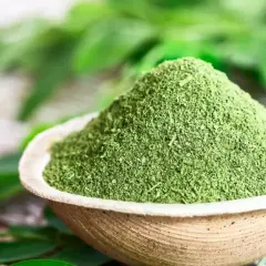 Zielony proszek moringa w miseczce, otoczony liśćmi. To naturalne superfood, które warto poznać!