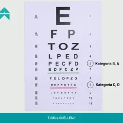 Tablica Snellena do odnowienia prawa jazdy dla osoby z wadą wzroku. Litery E, F, P, T, O, Z, L, D, C, S.