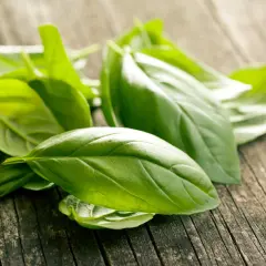 Świeża bazylia na drewnianym blacie. Jej liście kuszą aromatem, a nie słodką wanilią.