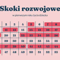 Tabela "Skoki rozwojowe w pierwszym roku życia dziecka" z zaznaczonymi tygodniami.