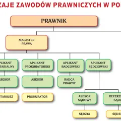 Kto posiada osobowość prawną? Klucz do samodzielności i odpowiedzialności