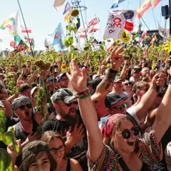 Tłum ludzi z flagami i słonecznikami, radośnie świętujący. To musi być Woodstock, gdzie jest taka atmosfera!
