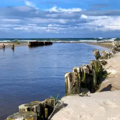Spokojna plaża z drewnianymi słupkami i wodą, idealne miejsce na jednodniowe wycieczki z Gdańska.