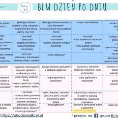 BLW przepisy 6 miesięcy: placuszki marchewkowe z tofu, zupa ogórkowa, omlety, pulpety rybne, makaron z warzywami.